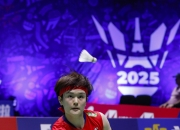 开云体育官方网站-包含韩国羽毛球队绝杀日本羽毛球队，辛杜惊艳世界的词条