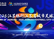 开云下载-江苏队逆转胜利，晋级下一轮比赛的简单介绍