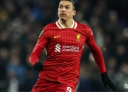 开云APP-利物浦队险胜那不勒斯俱乐部