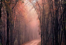 开云体育_精彩绝伦的表现，球场上的战斗精彩纷呈的简单介绍