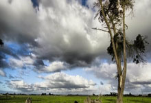 开云体育APP下载-韩国乒乓球队鏖战法国队，许昕神勇逆袭引爆赛场热潮