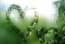 开云APP-中国羽毛球队横扫日本羽毛球队，陶菲克高光表现引爆全场