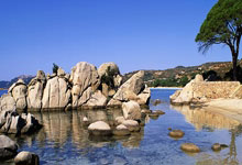 开云体育APP下载-韩国乒乓球队鏖战法国队，许昕神勇逆袭引爆赛场热潮