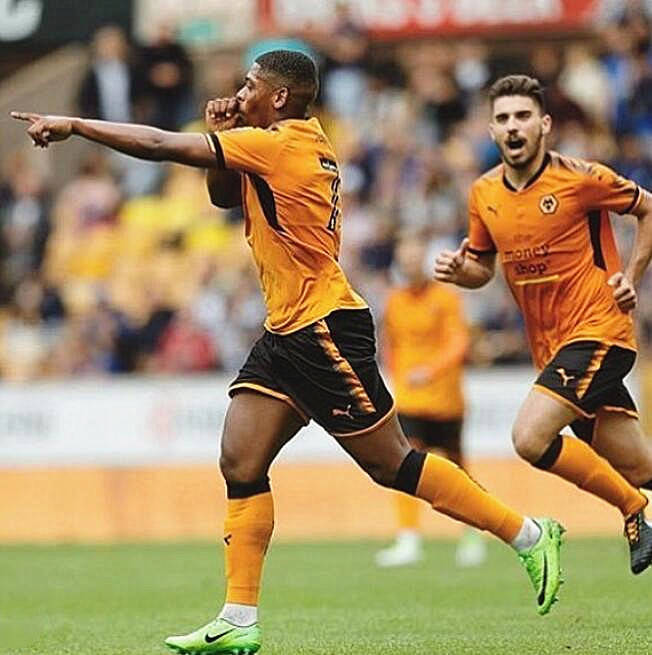 南安普顿客场击败狼队，英超保级前景乐观可期的简单介绍