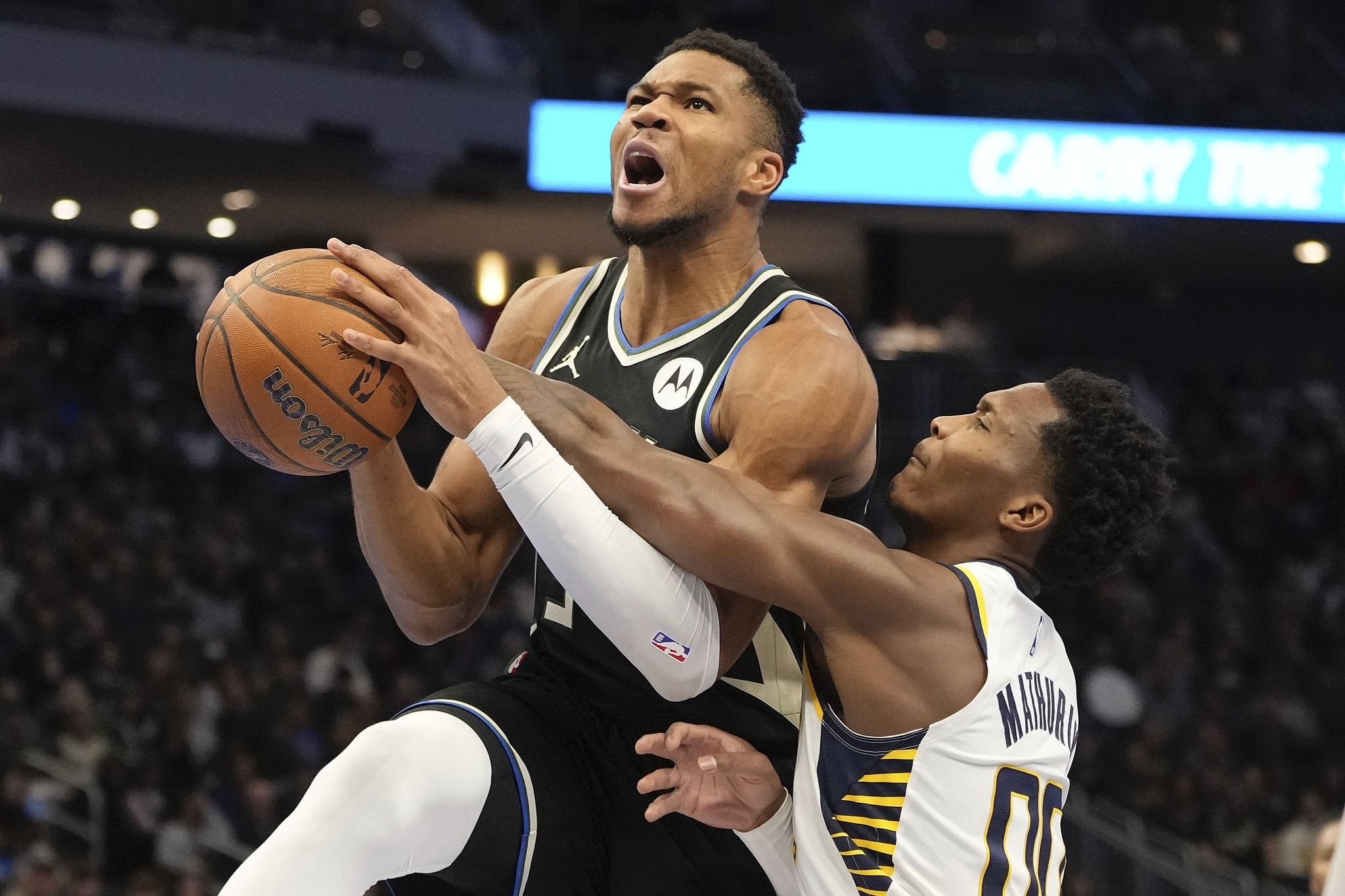 黑森林雄鹿踢进胜利，实力碾压对手的简单介绍