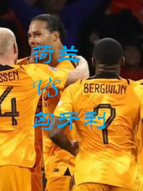 匈牙利队在欧锦赛中将士们功成名就 匈牙利队在欧锦赛中将士们功成名就