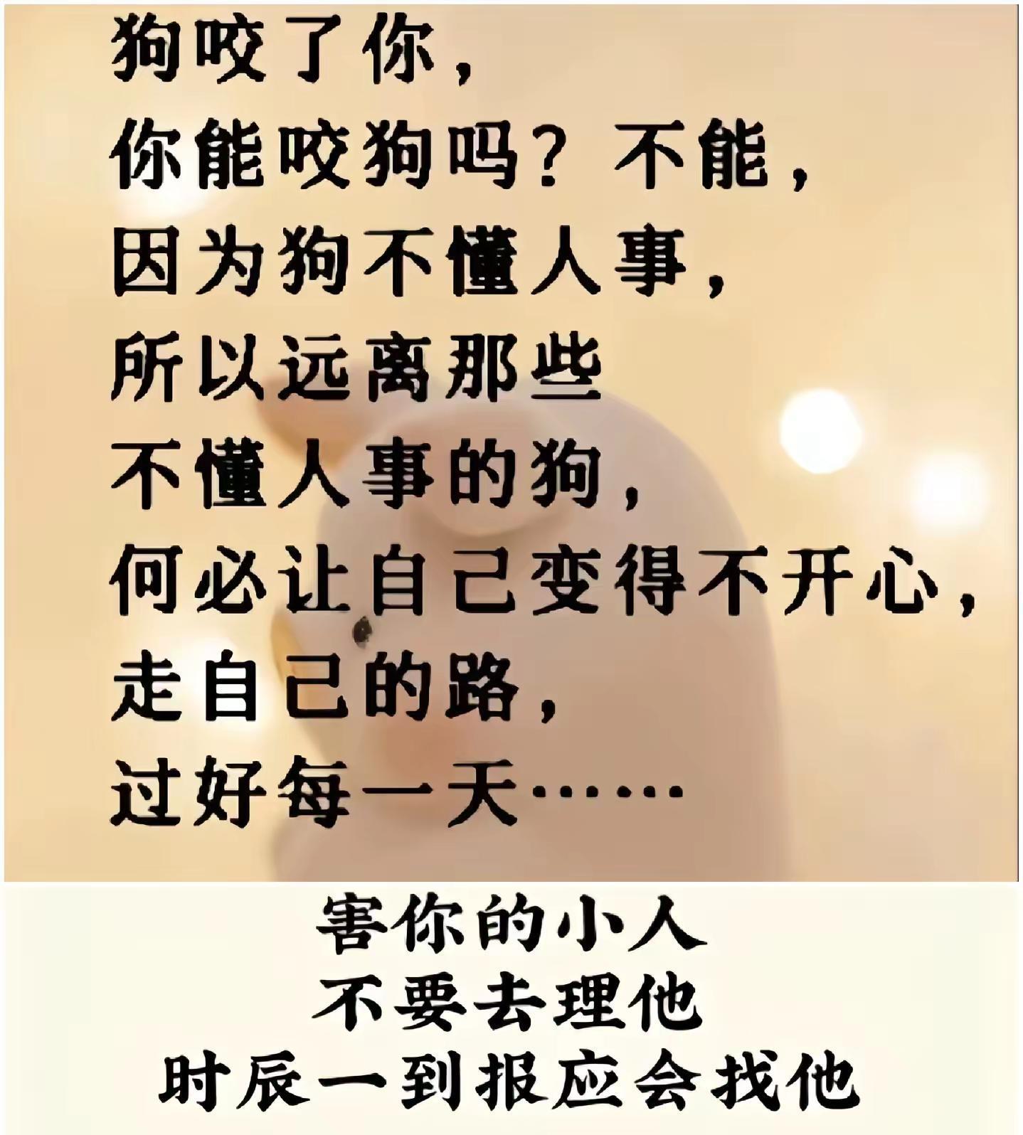 唏嘘不已，森林狼惨败灰熊，心有不甘的简单介绍