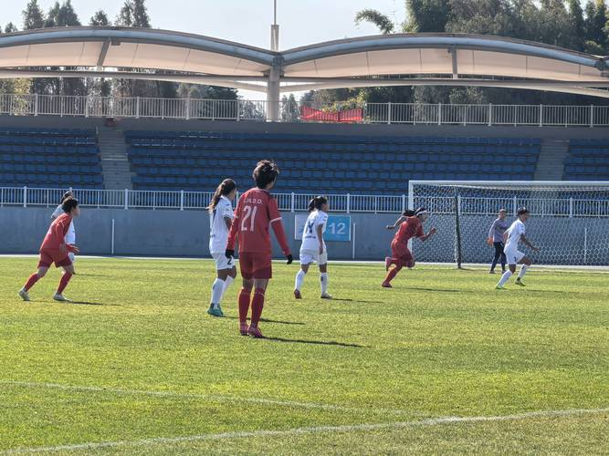 重庆女足迎战辽宁队，争取晋级的简单介绍