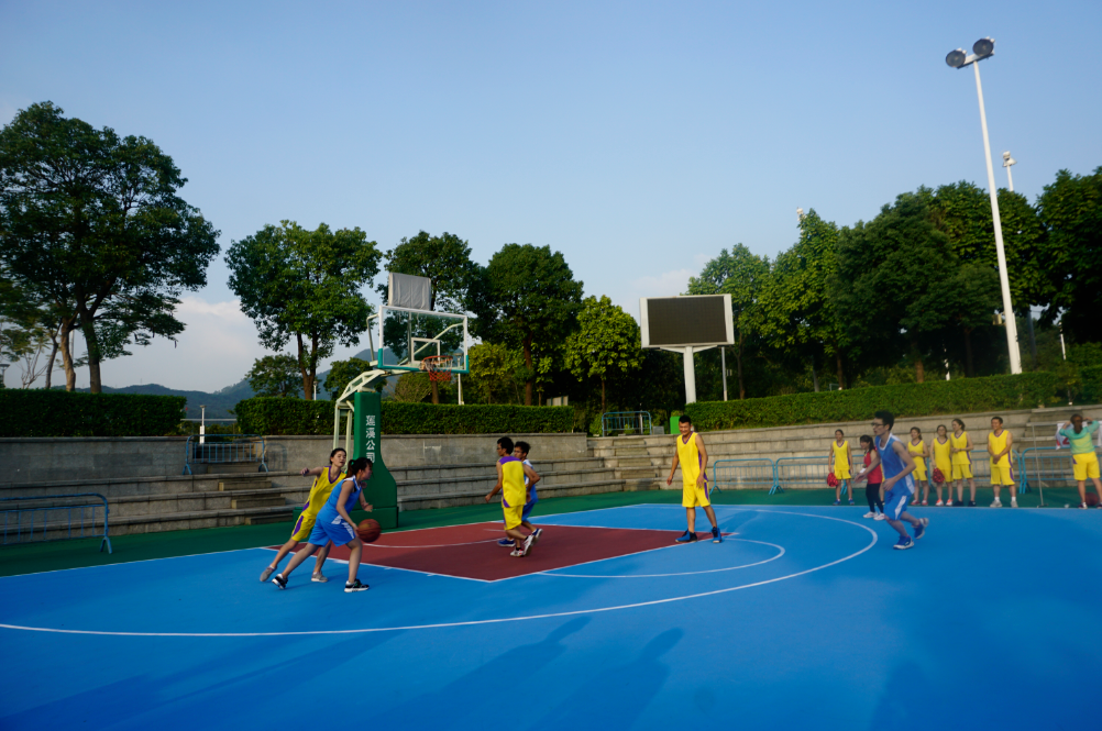 拉丁美洲篮球赛事热度持续上升,观众热情高涨 拉丁美洲篮球赛事热度持续上升,观众热情高涨