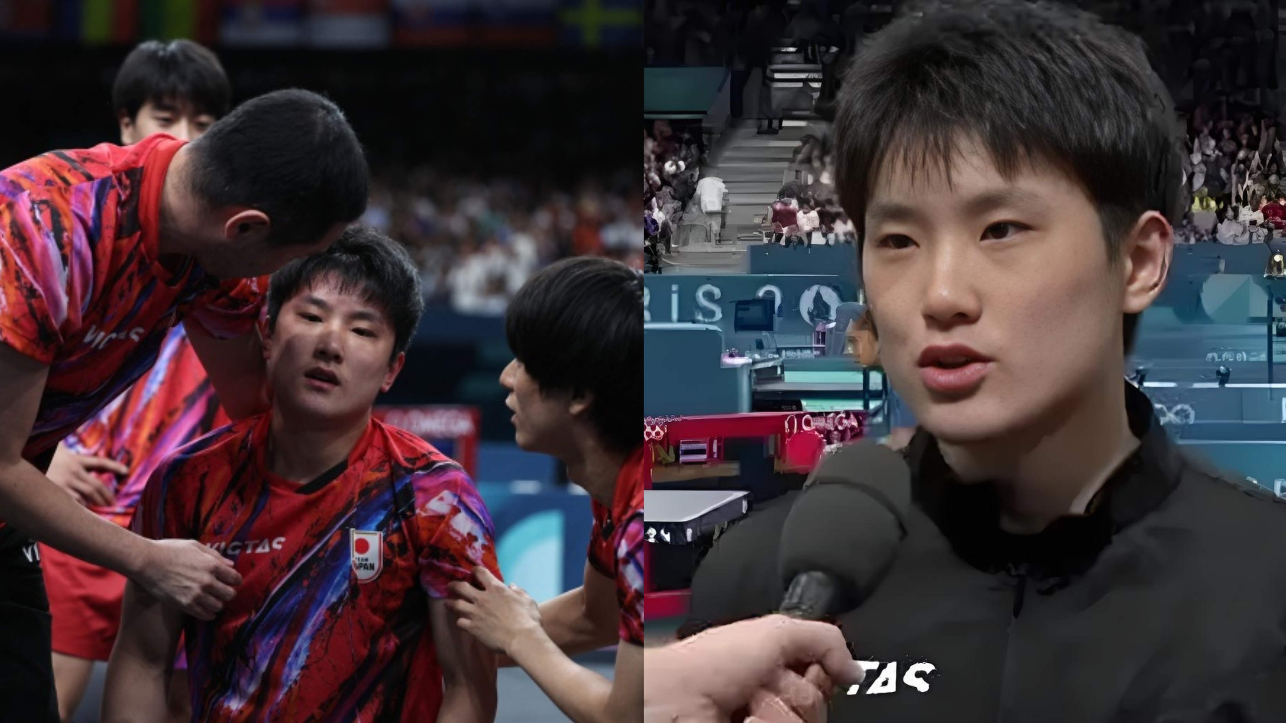 包含日本队轻取法国队,张本智和状态火热的词条 包含日本队轻取法国队,张本智和状态火热的词条